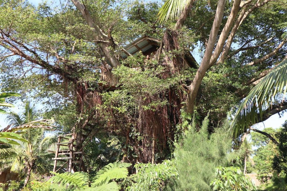 Castle Tree House And Bungalow White Sands Eksteriør billede